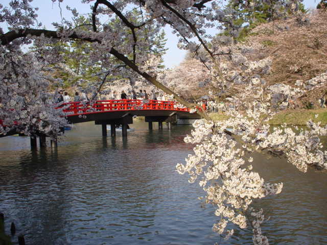 弘前公園 春陽橋